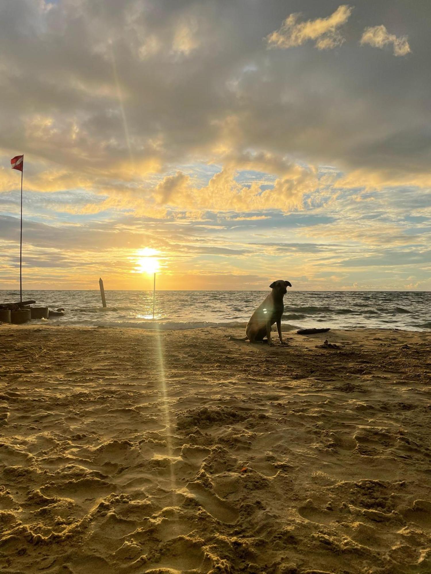 Palenque Beach House San Onofre Zewnętrze zdjęcie
